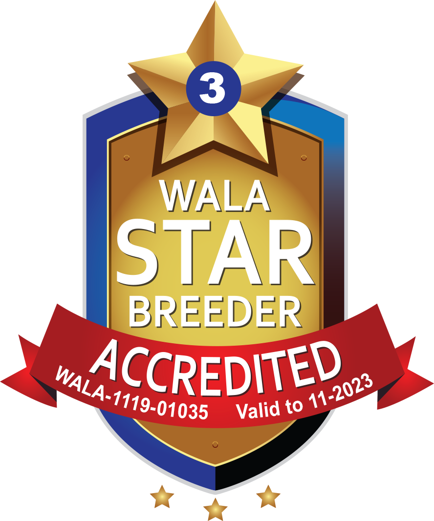 WALA 3 Star Breeder Accredited Ranking