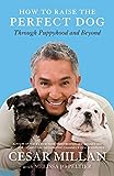 How to Raise the Perfect Dog - Cesar Millan