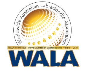 World Australian Labradoodle Logo Registration for Royal Australian Labradoodles