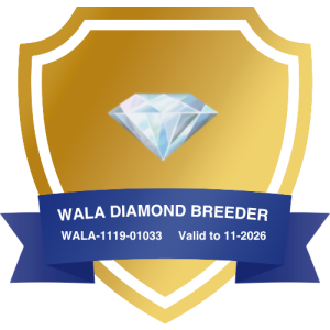 WALA DIAMOND BREEDER 2026