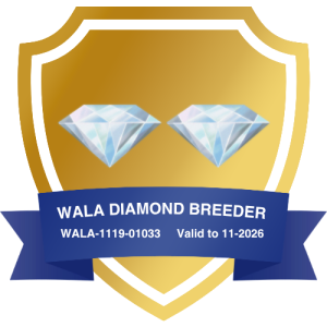 WALA 2 diamond breeder