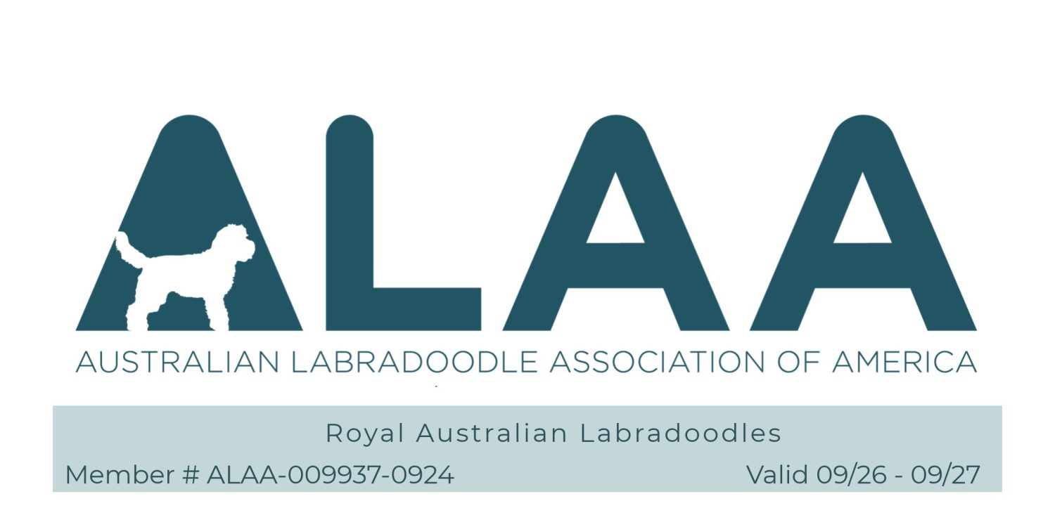 ALAA Australian Labradoodle Association of America