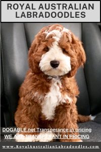 Dogable transparency in pricing